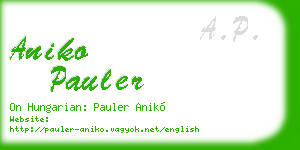 aniko pauler business card