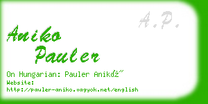 aniko pauler business card